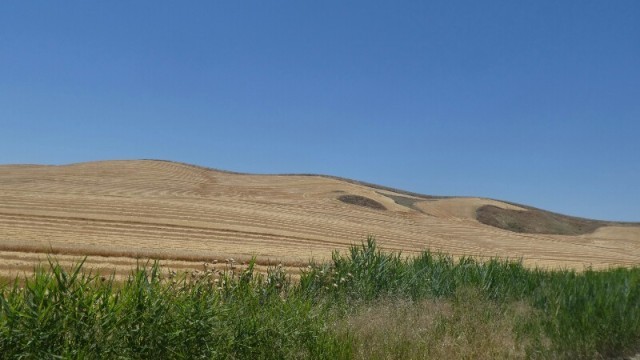 Image/photo