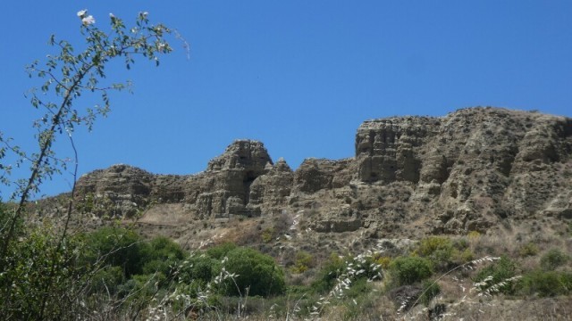 Image/photo