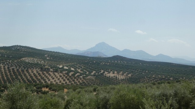 Image/photo