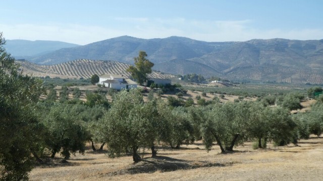Image/photo